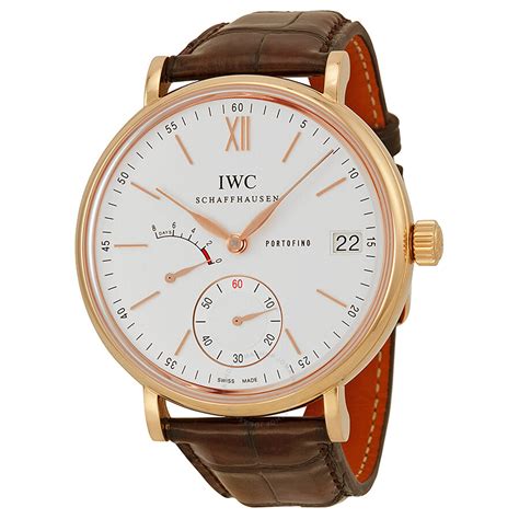 buying an iwc watch.